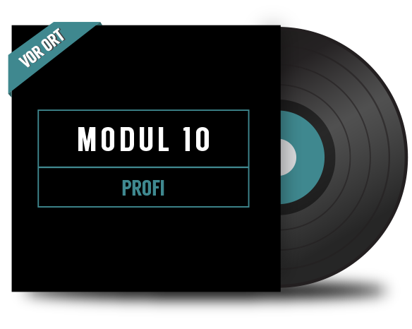 DJ Modul 10. Profi - Vor Ort