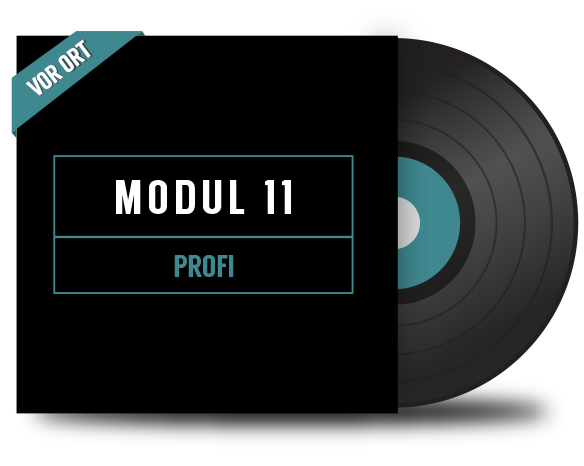 DJ Modul 11. Profi - Vor Ort