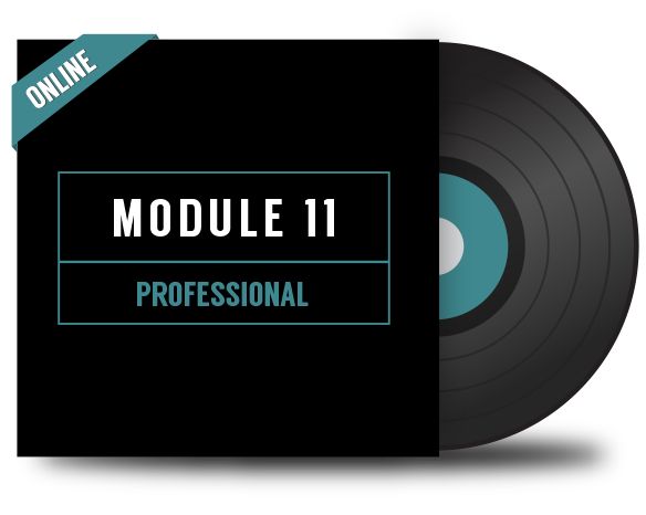 DJ Module 11. Professional - Online
