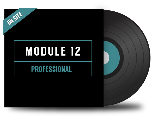 DJ Module 12. Professional - On Site
