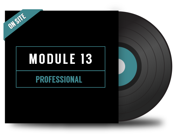 DJ Module 13. Professional - On Site