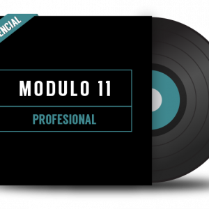 DJ Módulo 11. Profesional - Presencial