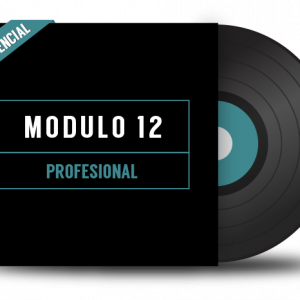 DJ Módulo 12. Profesional - Presencial