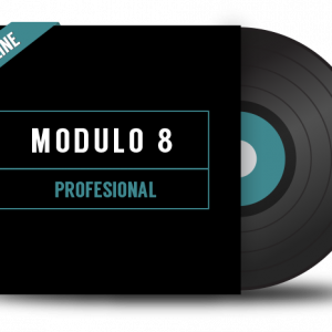 DJ Módulo 8. Profesional - Online